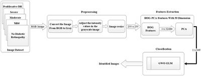 Gray wolf optimization-extreme learning machine approach for diabetic retinopathy detection